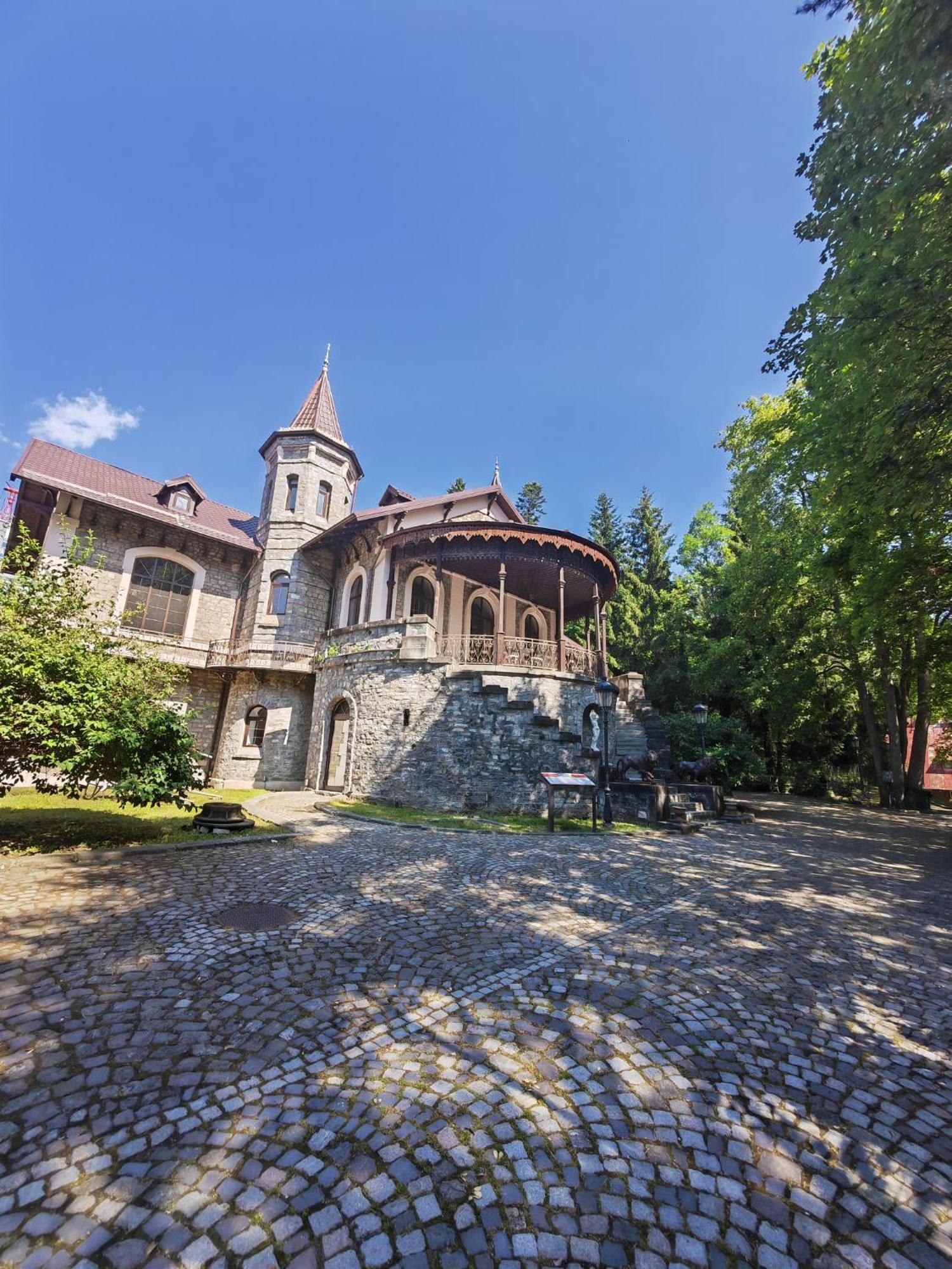 Hotel Castelul Stirbey Sinaia Exterior foto